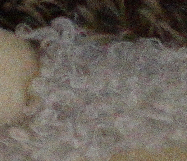 RX100 M3 ISO6400