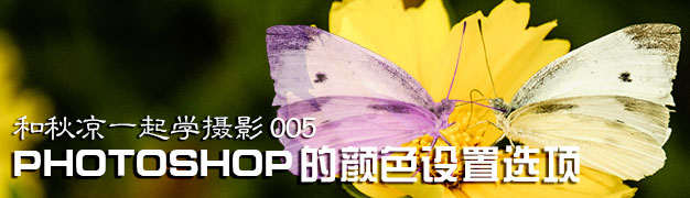 和秋凉一起学摄影005