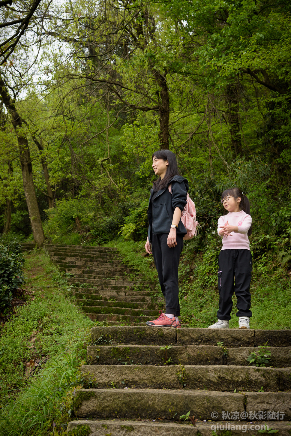 登南高峰山路